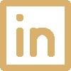 LinkedIn Nexys Studio